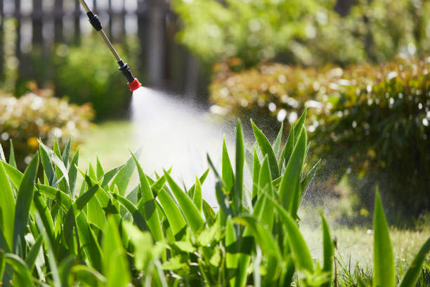 24/7 Emergency Mosquito Control experts in Pupukea, HI